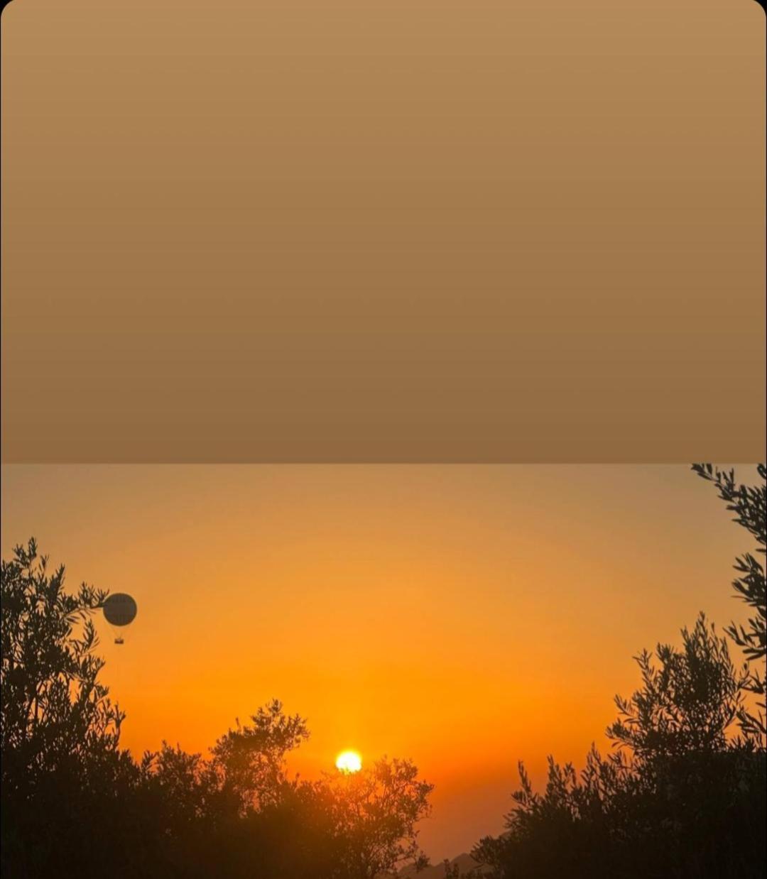 Petra Hills House Hostel Ουάντι Μούσα Εξωτερικό φωτογραφία